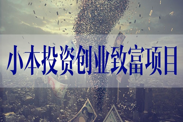 浠ｇ悊灏忔湰鑷村瘜鐨勭敓鎰忔湁鍝簺锛熶粈涔堟瘮杈冨ソ鍋氾紵.jpg